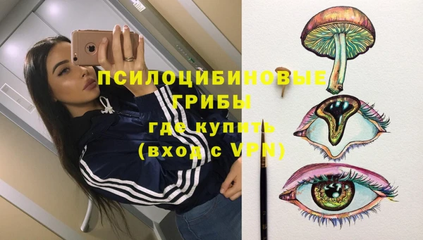 таблы Осинники