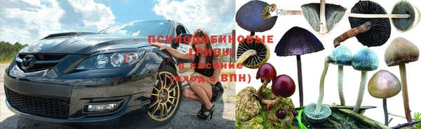 круглые Осташков
